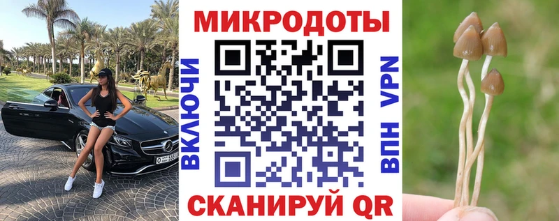 Галлюциногенные грибы Psilocybine cubensis  Лаишево 