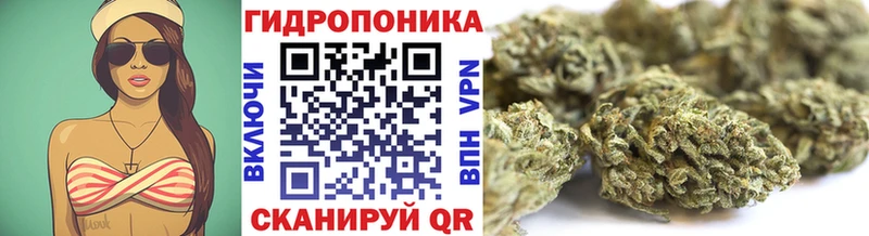 Бошки Шишки конопля Лаишево