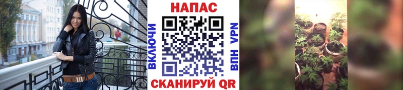МАРИХУАНА LSD WEED  дарнет шоп  Лаишево 